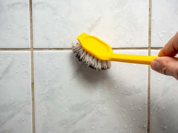 Best Mold Removal Near Me  in Wrightwood, CA