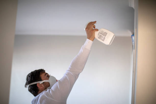 Best Mold Damage Repair  in Wrightwood, CA