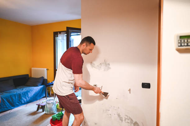 Best Black Mold Removal  in Wrightwood, CA